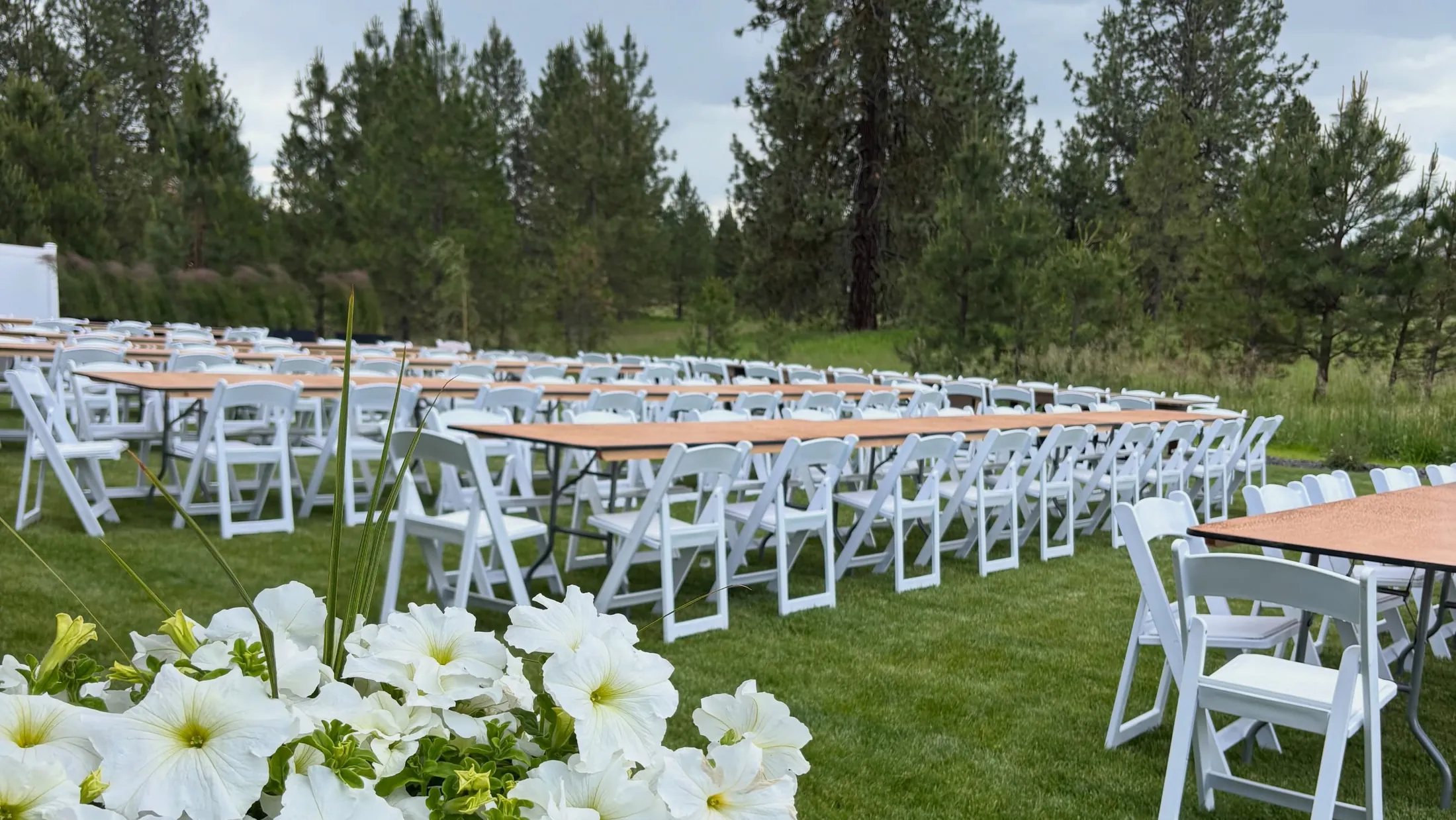 Rows of wood tables and white chairs on a green lawn, with white petunias in the foreground and pine trees behind